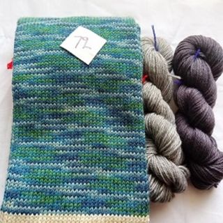 Waikiwi sock